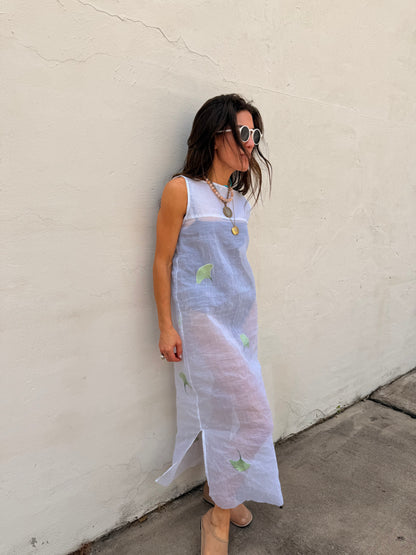 Sheer Maxi Dress with Embroidery