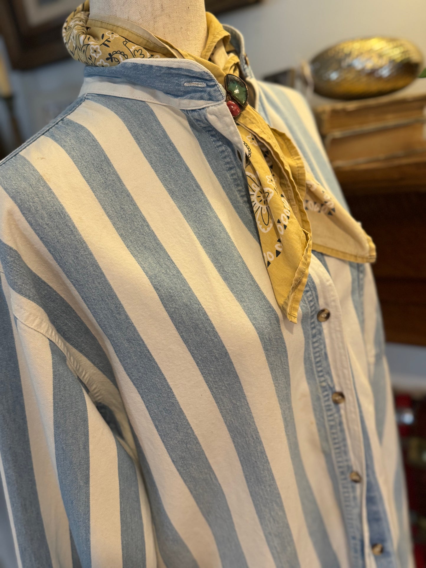 Denim Stripe Shirt